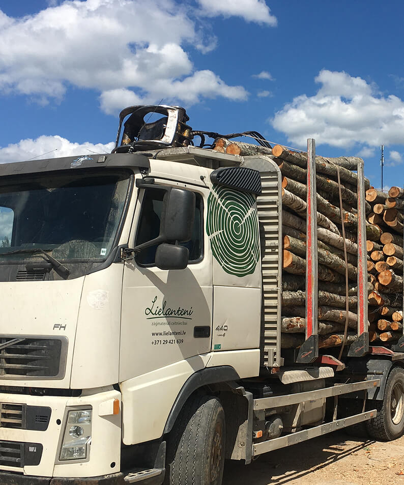 lielanteni kokvedēja pakalpojumi serviss-1 (1)