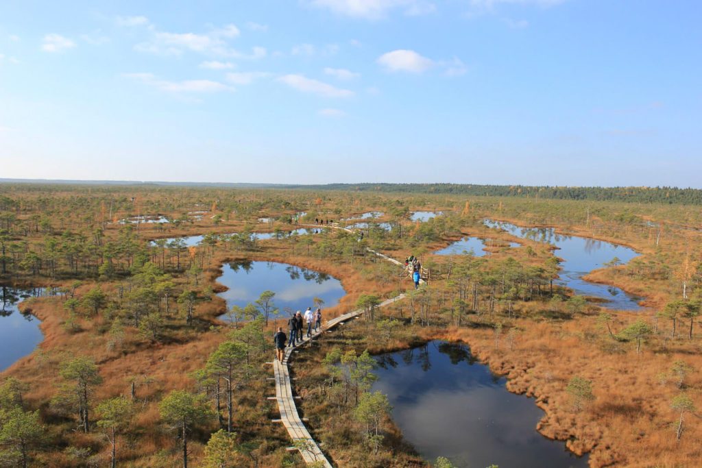 SIA Lielanteni koka apstrādes un zāģēšanas pakalpojumi 56