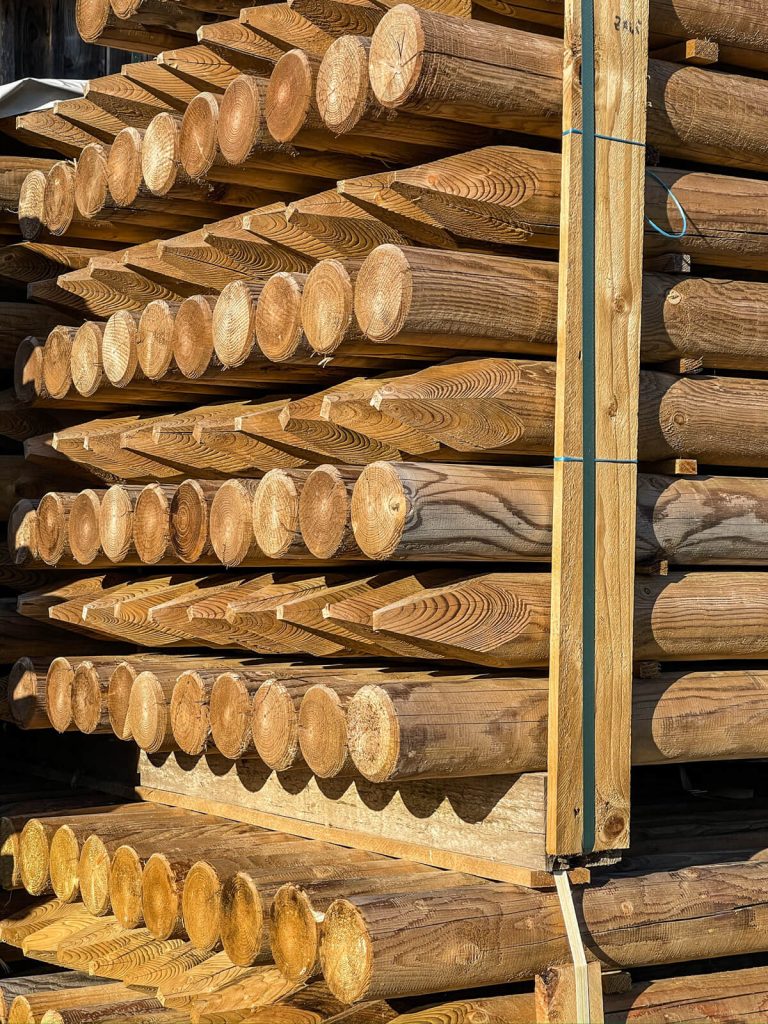 Koka mieti - SIA Lielanteni