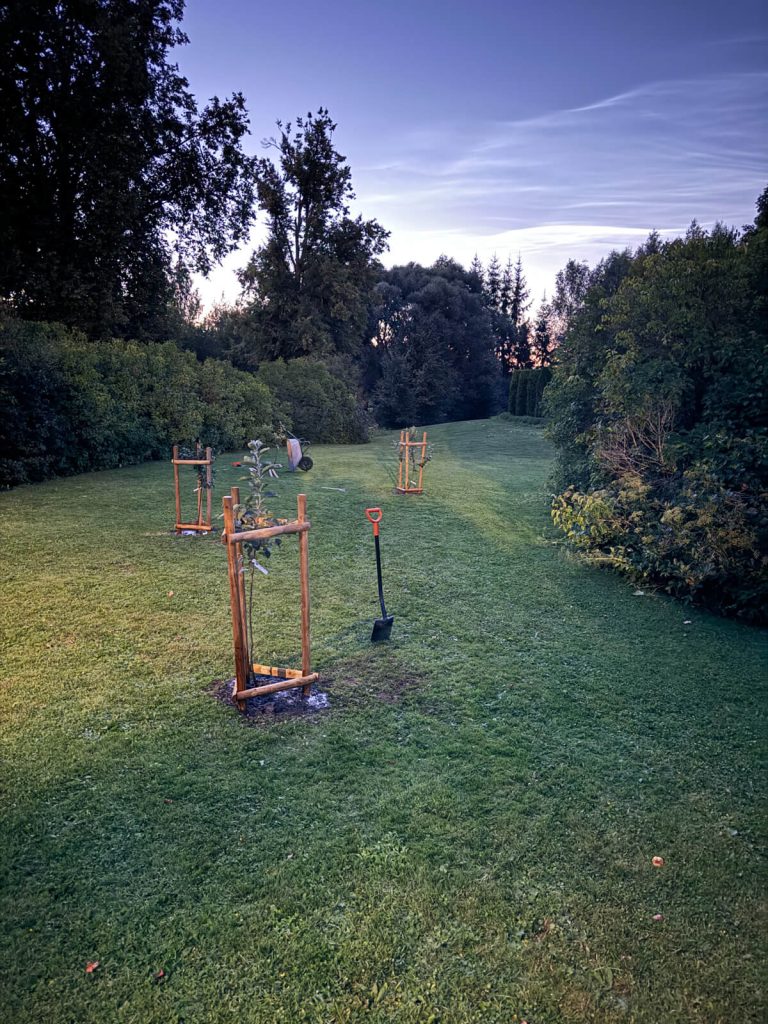 Koka mieti - SIA Lielanteni-11