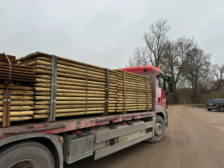 Koka mieti - SIA Lielanteni-12