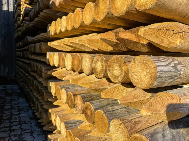 Koka mieti - SIA Lielanteni-3