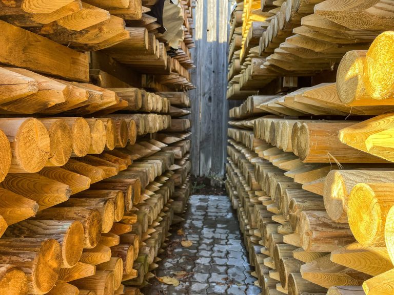 Koka mieti - SIA Lielanteni-4