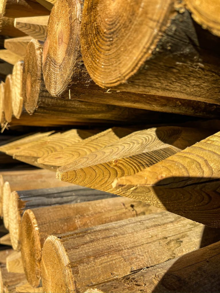 Koka mieti - SIA Lielanteni-5