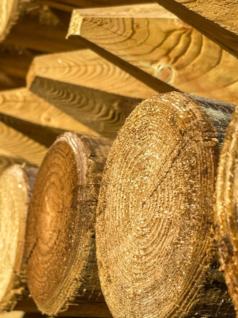 Koka mieti - SIA Lielanteni-6