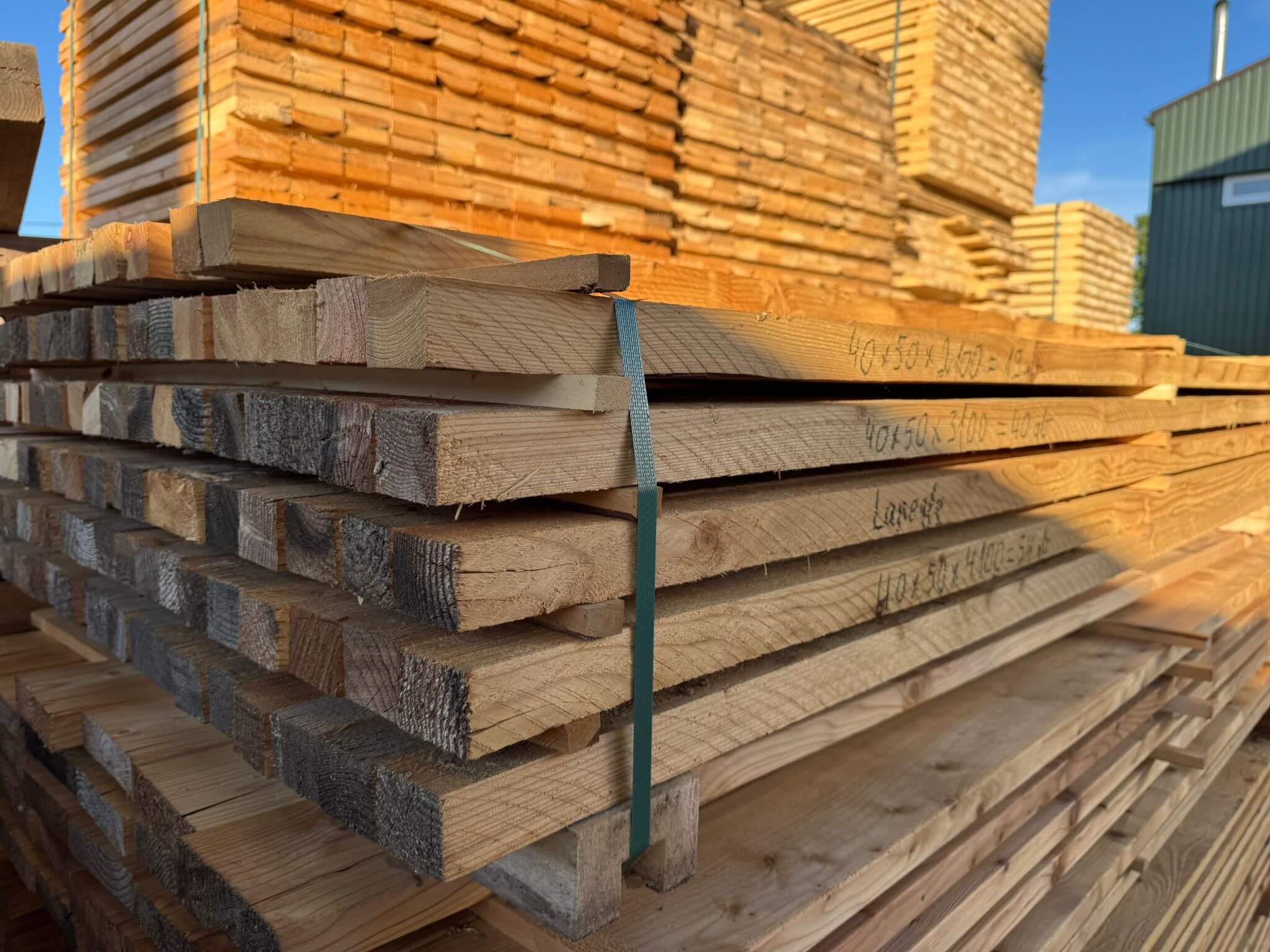 Lapegles latas - SIA Lielanteni (2)