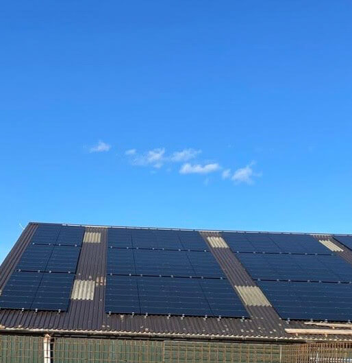 SIA Lielanteni - SES atbalsts ALTUM-2