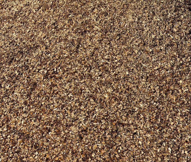 Šķelda - SIA Lielanteni (2)