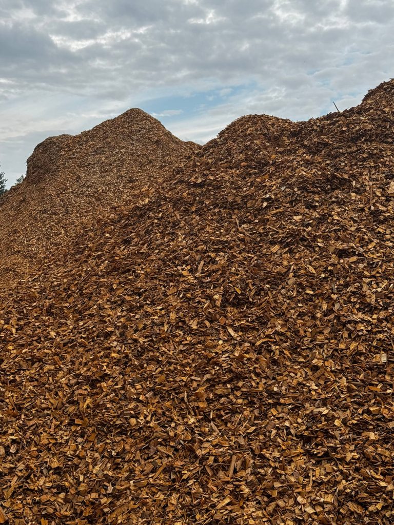 Šķelda - SIA Lielanteni (3)