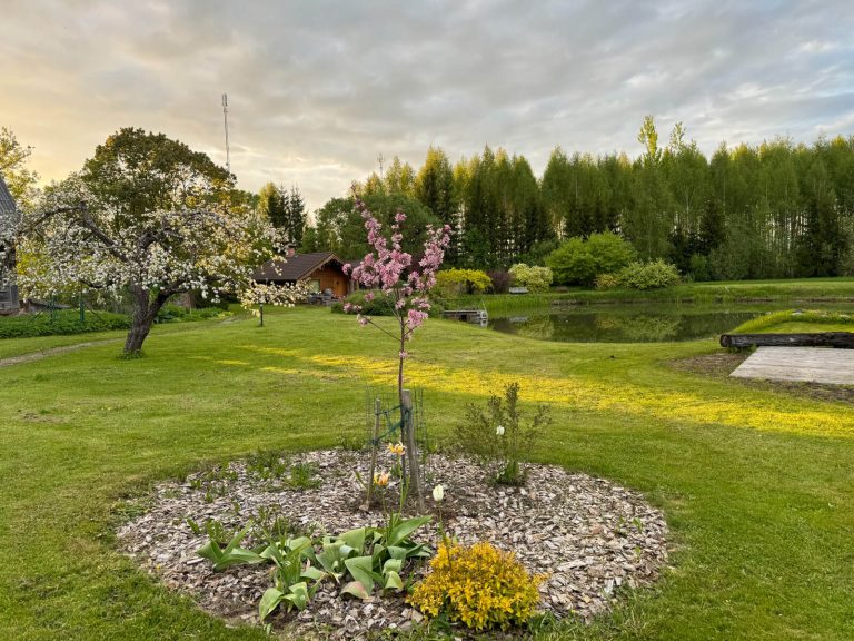 Šķelda - SIA Lielanteni-4